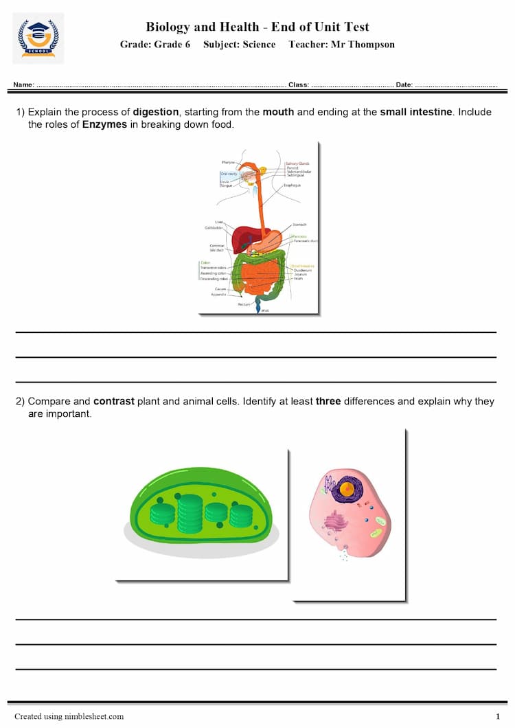 1 Column Layout